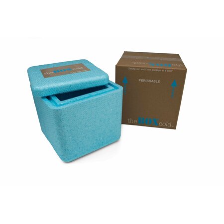 EPE USA Insulated Cold Shipping Box with Foam Cooler 6inx 6in x 6in Inside Dimensions BLUECOOLER-6"